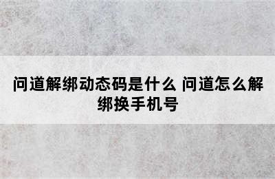 问道解绑动态码是什么 问道怎么解绑换手机号